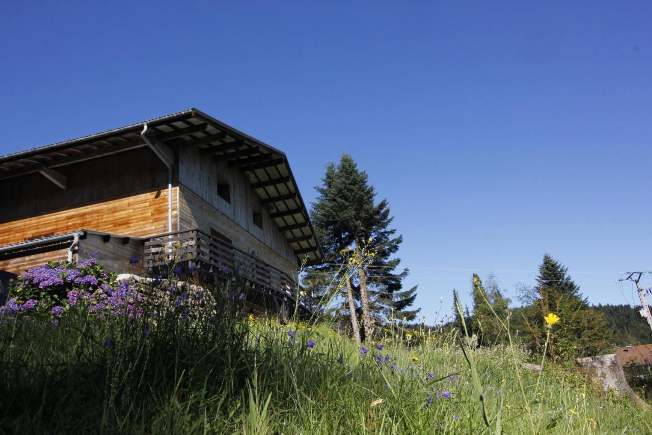 Le Chalet De Valentine Bed and Breakfast Ventron Exteriör bild